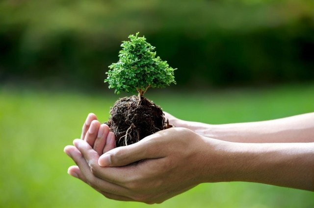 Environmental Action and Sustainable Development